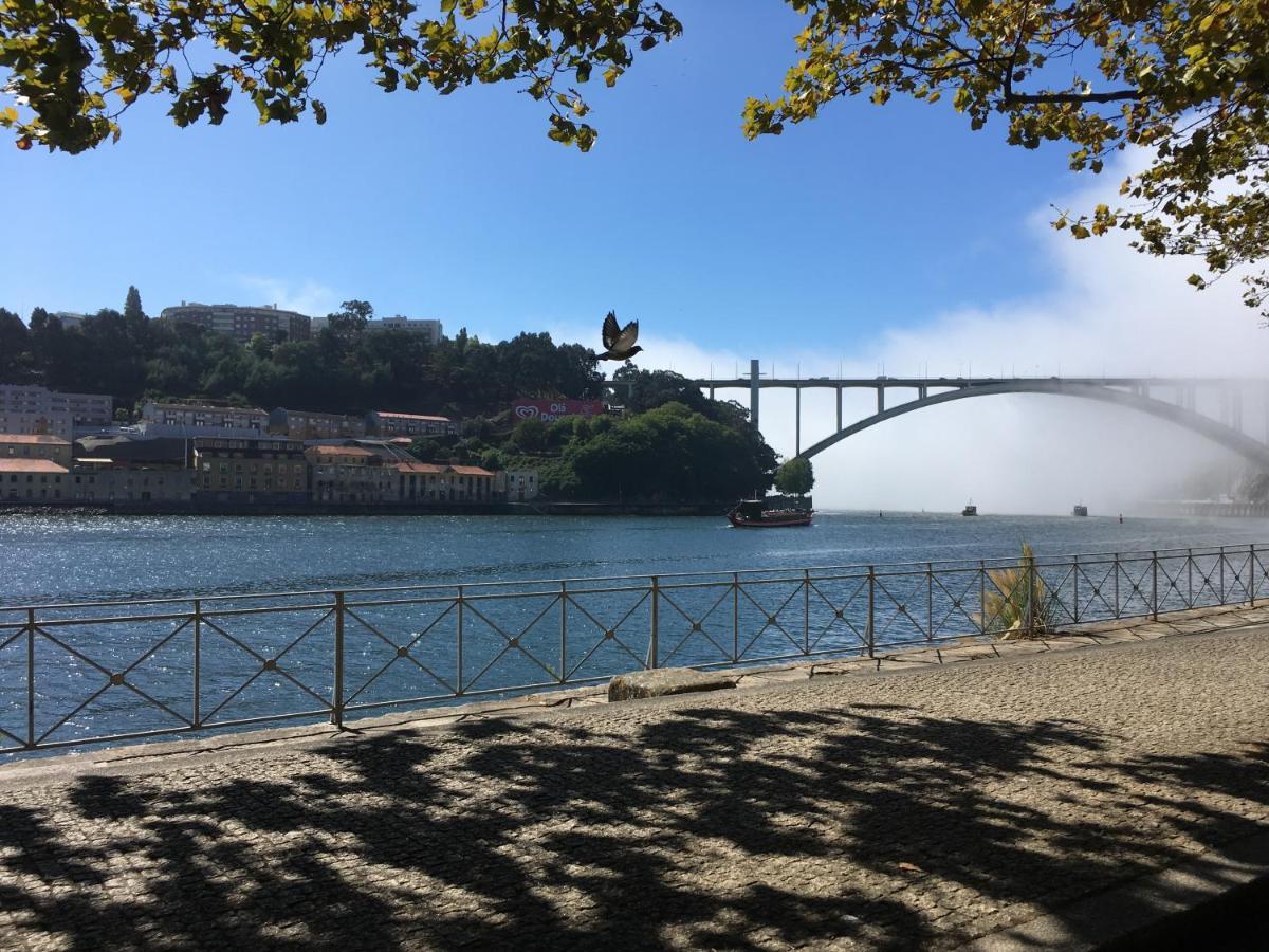 Loveporto Varanda/Jardim@C.Hist Extérieur photo